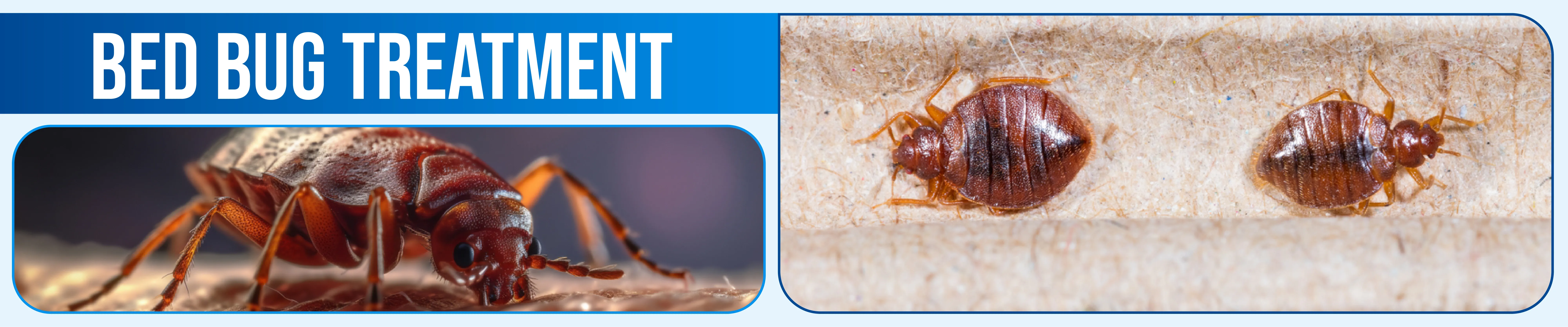 carpet cleaning in Nassau, carpet cleaner in Nassau, carpet cleaners in Nassau, carpet cleaners in Nassau, drapery cleaners in Nassau, carpet cleaning in Nassau, mattress cleaning in Nassau, mattress cleaners in Nassau, commercial carpet cleaning,commercial carpet cleaners in Nassau , Nassau rug cleaners, rug cleaning services in Nassau same day carpet cleaning, same day rug cleaning