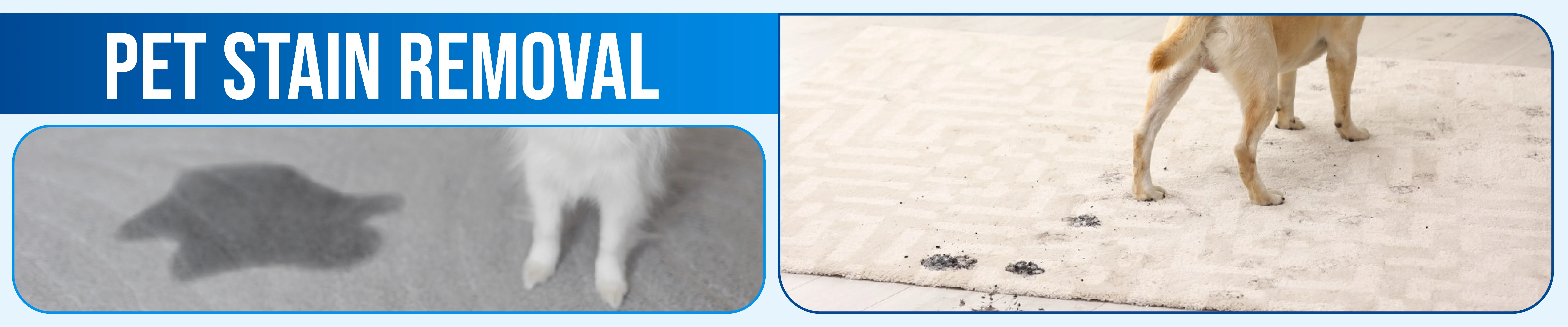 carpet cleaning in Nassau, carpet cleaner in Nassau, carpet cleaners in Nassau, carpet cleaners in Nassau, drapery cleaners in Nassau, carpet cleaning in Nassau, mattress cleaning in Nassau, mattress cleaners in Nassau, commercial carpet cleaning,commercial carpet cleaners in Nassau , Nassau rug cleaners, rug cleaning services in Nassau same day carpet cleaning, same day rug cleaning